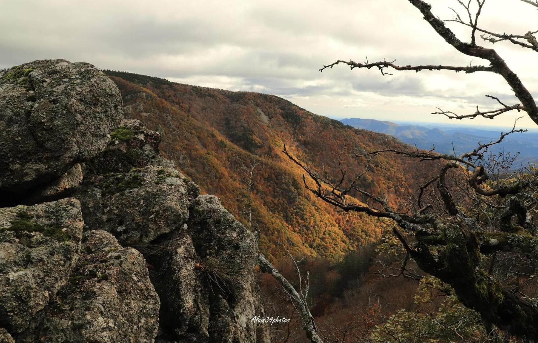 Grand Gite, Mas Favieres Notre-Dame-de-la-Rouvière Esterno foto